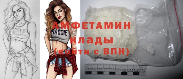 гашик Алексеевка