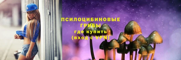 дурь Алзамай