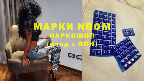 гашик Алексеевка
