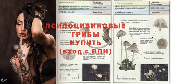 гашик Алексеевка