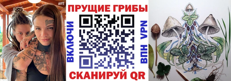 Галлюциногенные грибы Psilocybine cubensis Ярцево