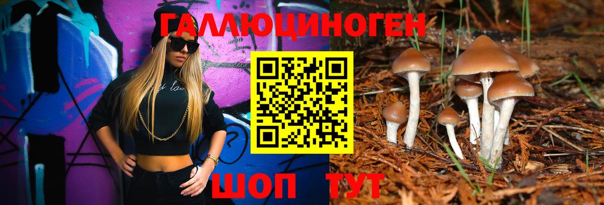 Галлюциногенные грибы мухоморы  Вход с VPN  Псилоцибиновые грибы GOLDEN TEACHER  Ярцево 