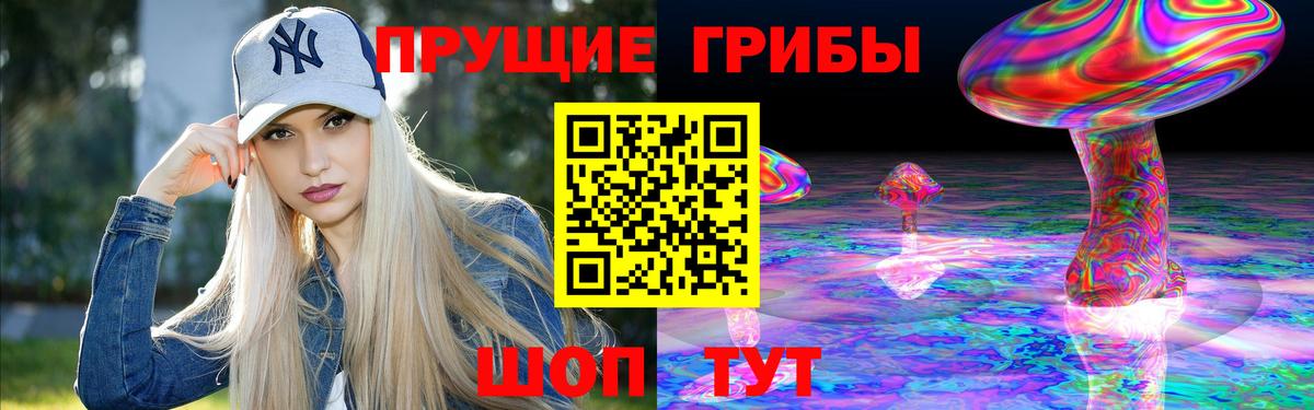 Псилоцибиновые грибы Psilocybe Ярцево